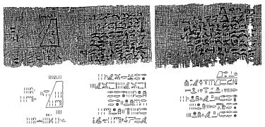 Moscow Mathematical Papyrus